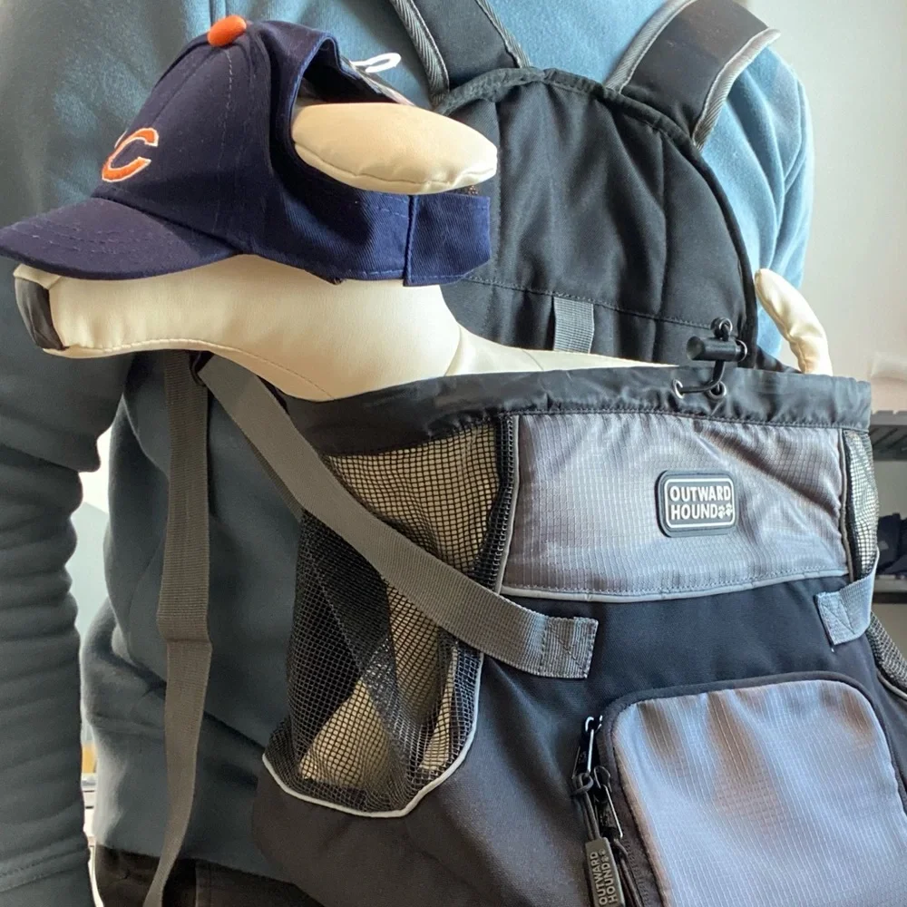 Stylish Pet Carrier.